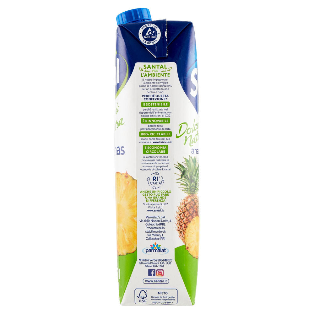 SUCCO ANANAS SENZA ZUCCHERI SANTAL BRICK PRISMA LT 1 - 4