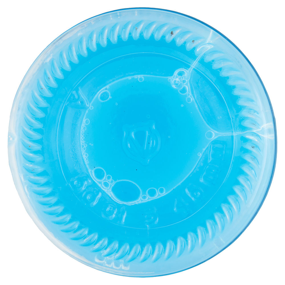 SCIROPPO ANICE LINEA ZERO + TOSCHI BOTTIGLIA ML 560 - 7