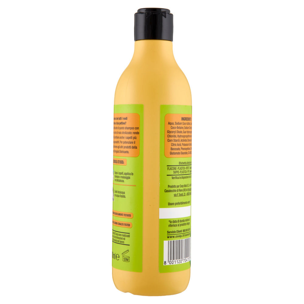 SHAMPOO DISTRICANTE KIWI E AMIDO DI MAIS CHIRINGUITO COOP ML 300 - 12