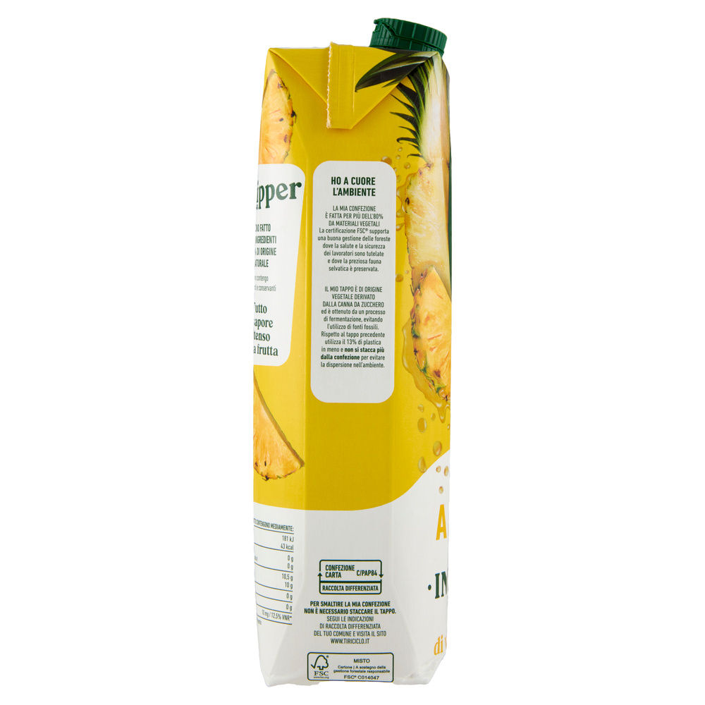 SUCCO SKIPPER ANANAS BRIK L 1 - 6