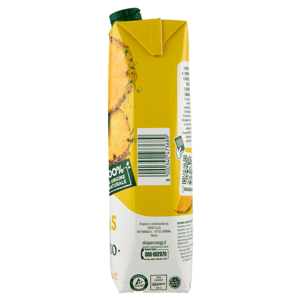 SUCCO SKIPPER ANANAS BRIK L 1 - 3