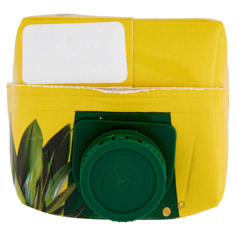 SUCCO SKIPPER ANANAS BRIK L 1 - 7