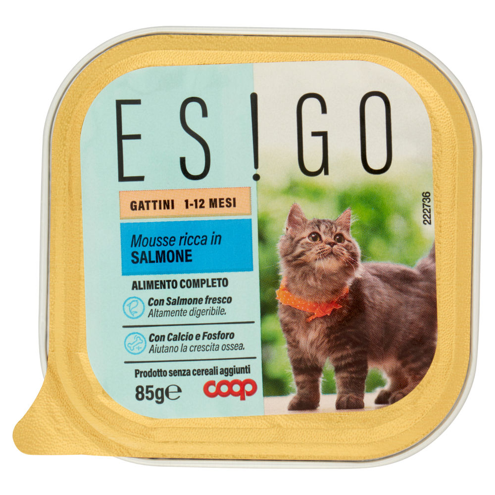 Umido gatto mousse ricca in salmone per gattini coop esigo g85