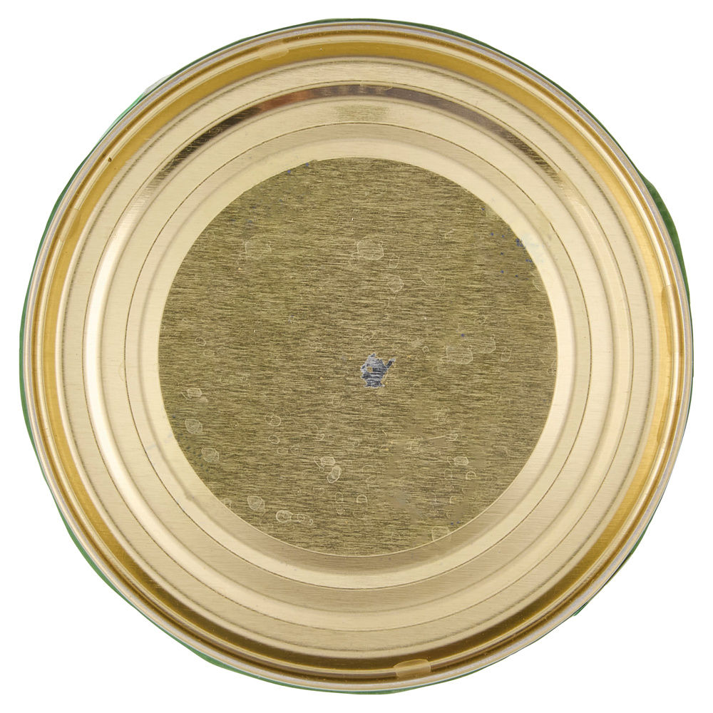 UMIDO GATTO BOCCONCINI PER GATTI SALMONE GLI SPESOTTI COOP LATTINA G415 - 12