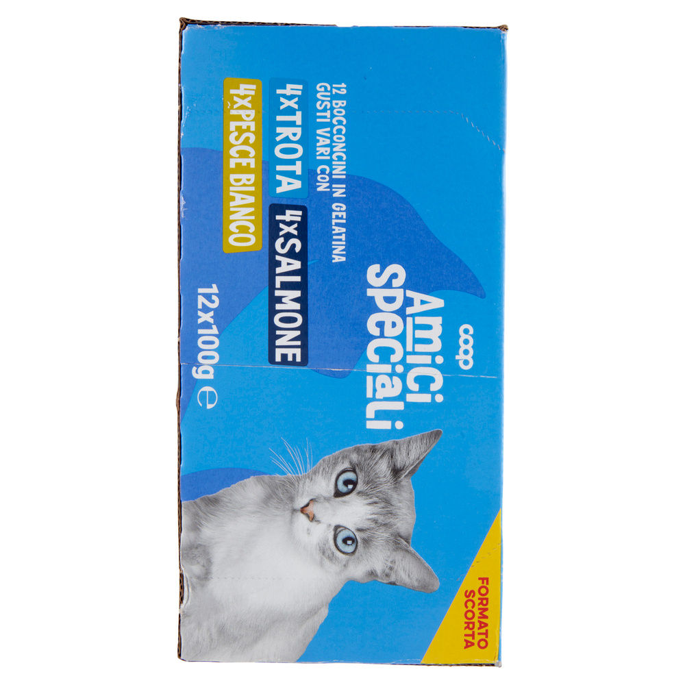 UMIDO GATTO MULTIPACK BOCCONC.PER GATTI IN GEL.PESCE AMICI SPECIALI COOP G100X12 - 4