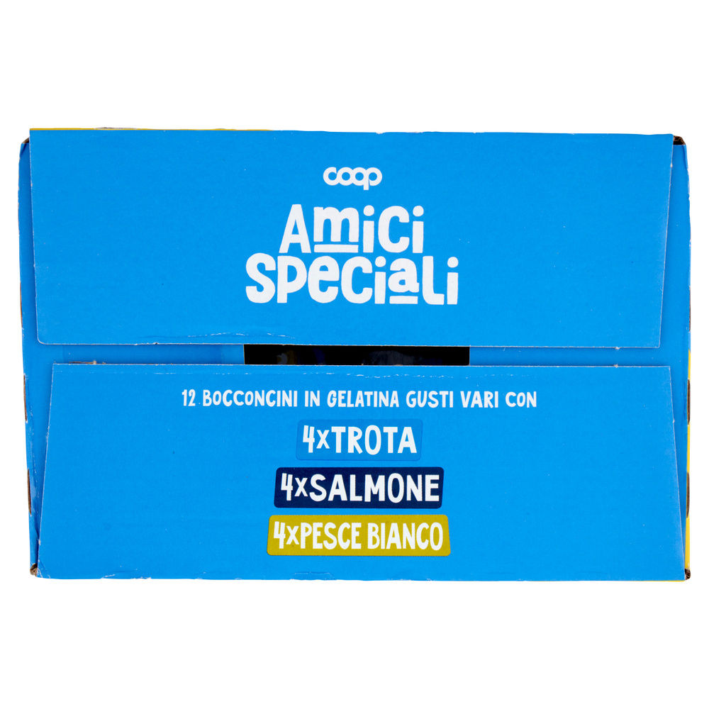 UMIDO GATTO MULTIPACK BOCCONC.PER GATTI IN GEL.PESCE AMICI SPECIALI COOP G100X12 - 6