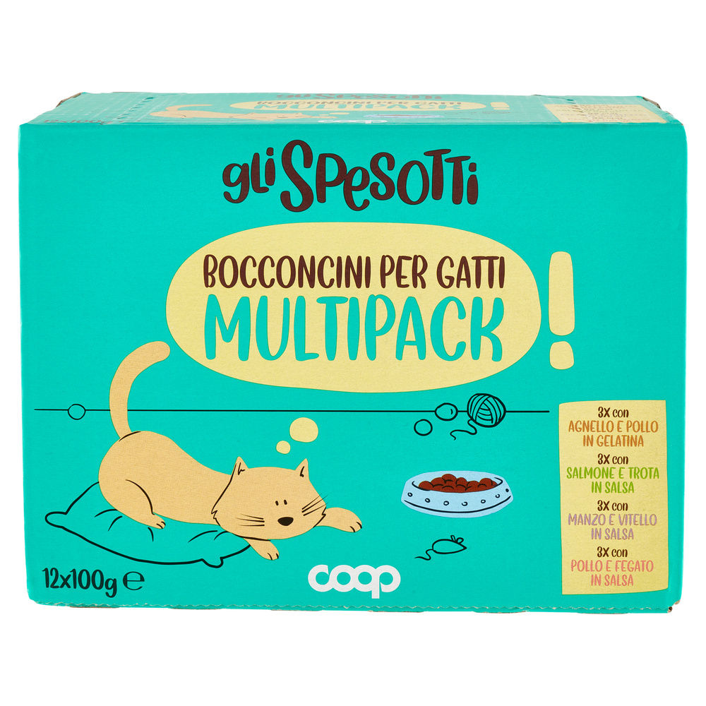 UMIDO GATTO BOCCONCINI GATTO SCATOLA GUSTI VARI GLI SPESOTTI COOP G100X12 - 2