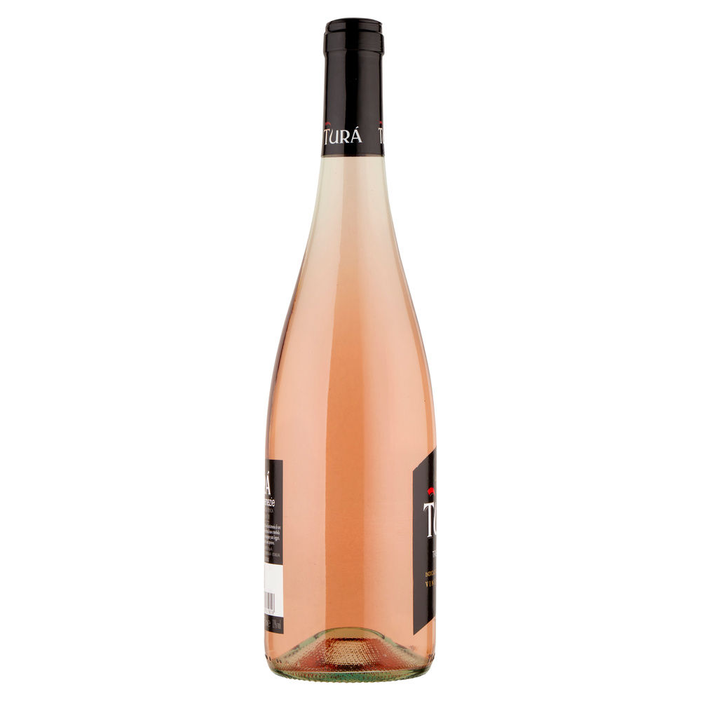 ROSATO TREVENEZIE FRIZZANTE IGT TURÀ ML 750 - 5