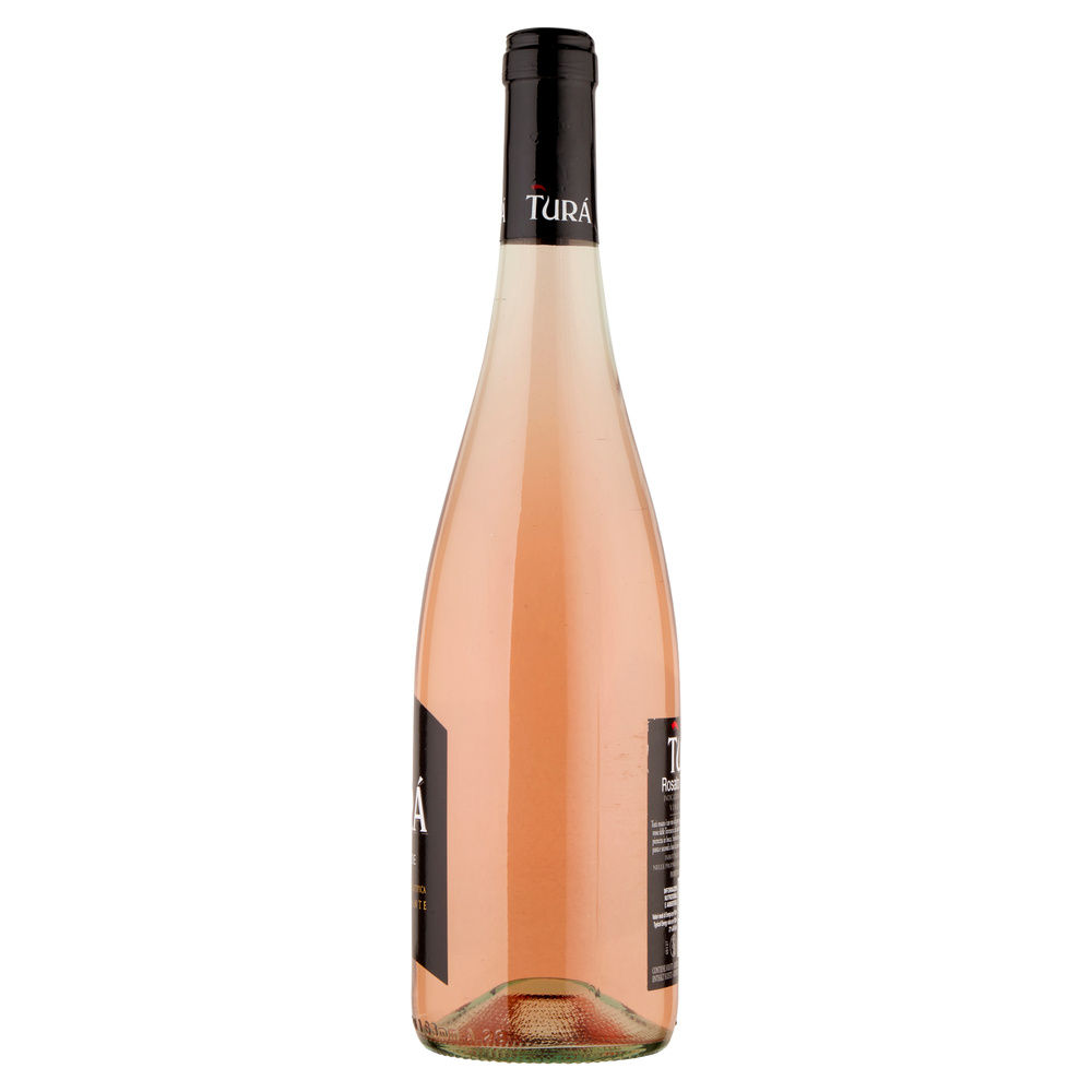 ROSATO TREVENEZIE FRIZZANTE IGT TURÀ ML 750 - 6