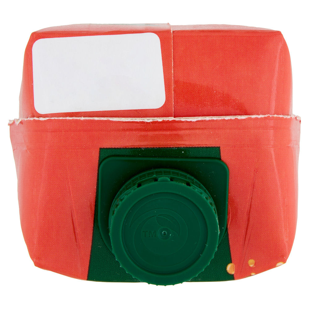 SUCCO SKIPPER INTENSI FRUTTI TROPICALI BRICK L 1 - 4