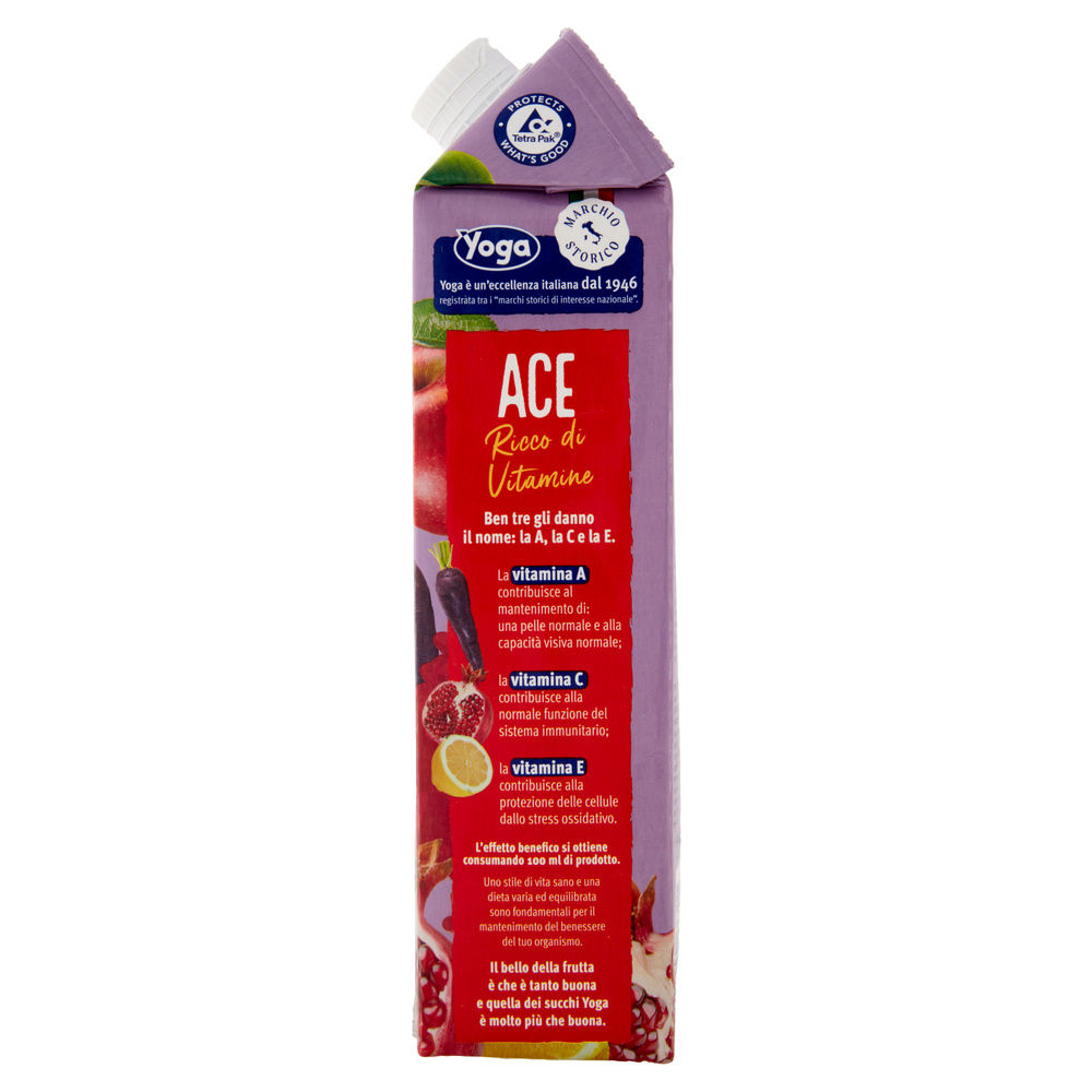 NETTARE YOGA ACE COLOR VIOLA BRICK L 1 - 5