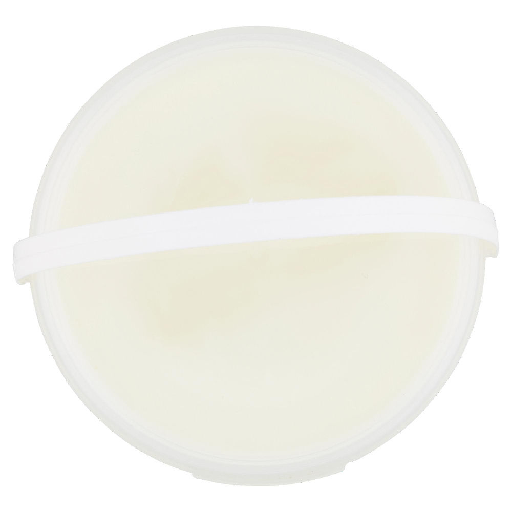 KEFIR CREMOSO ALMAVERDE BIO VASO G 150 - 6