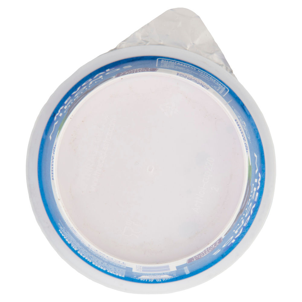 YOGURT MIKONOS MIRTILLI MEVGAL G 150 - 1