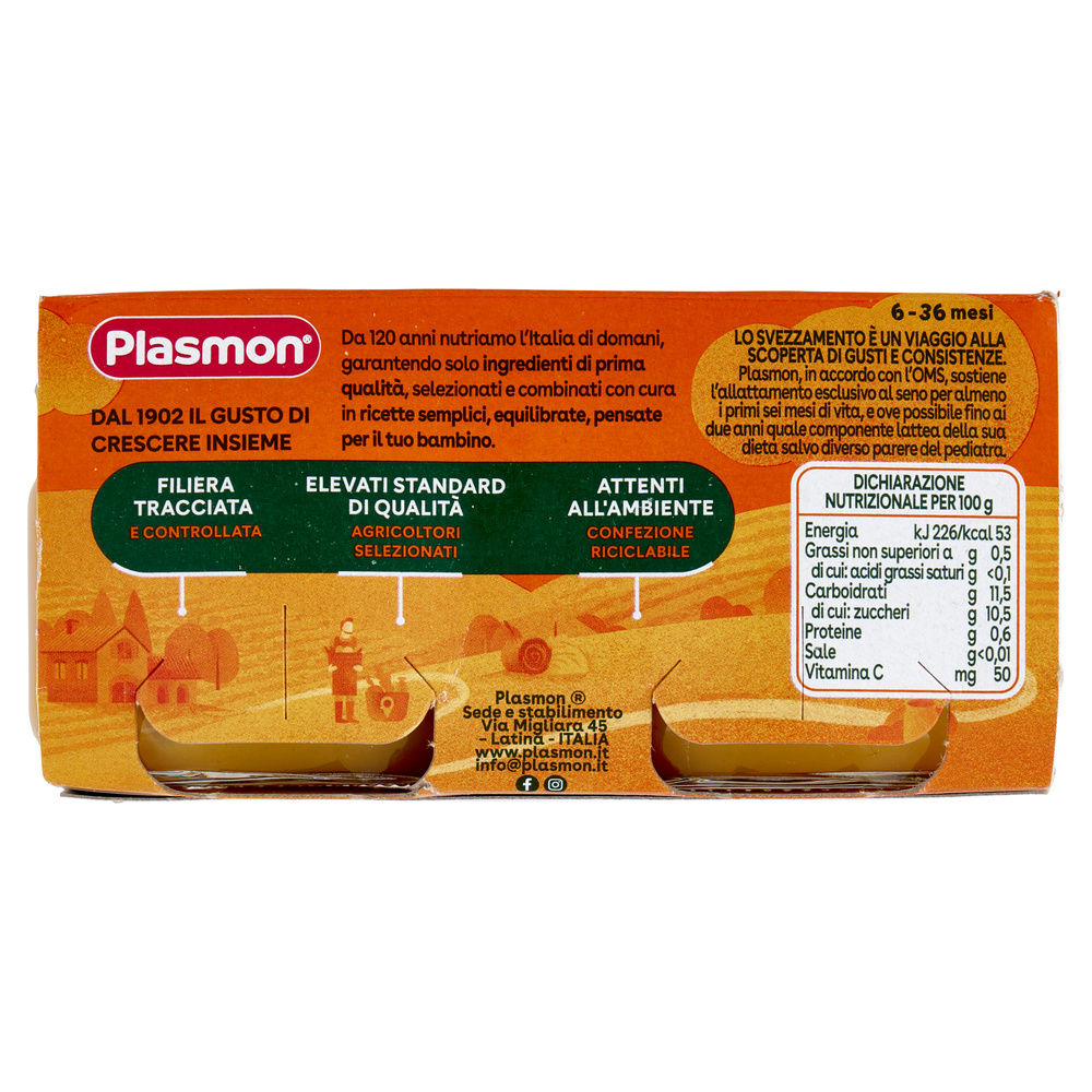 OMOGENEIZZATO MELA ALBICOCCA PLASMON G 2X80 G 160 - 1