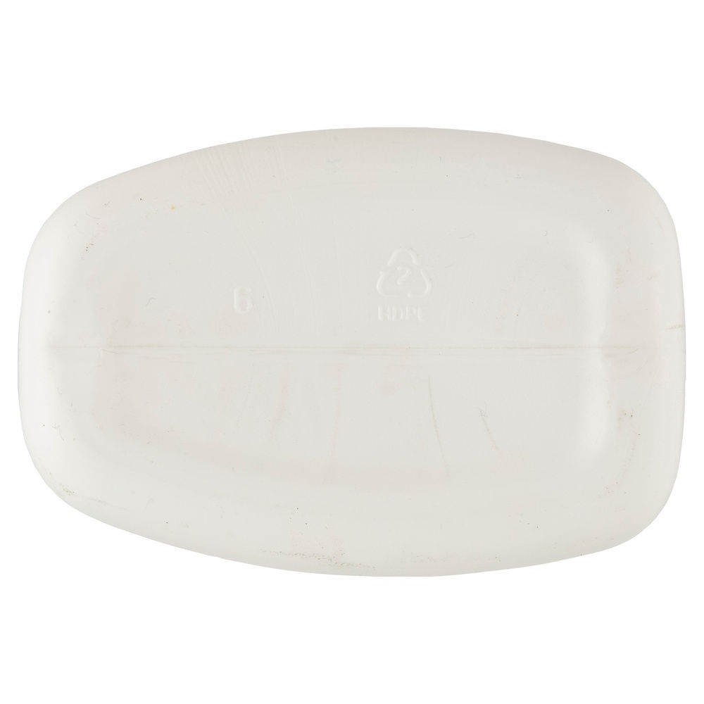 DETERGENTE TRIGGER SMAC SGRASSATORE CANDEGGINA ML 650 - 1