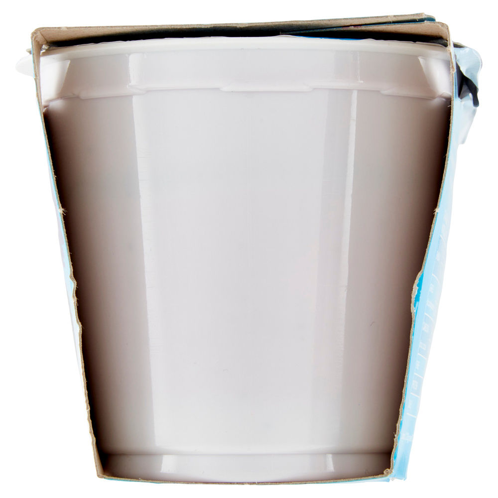 YOGURT MORE E MIRTILLI BELLA VITA FREE SENZA LATTOSIO E ZERO GRASSI 2X125G - 6