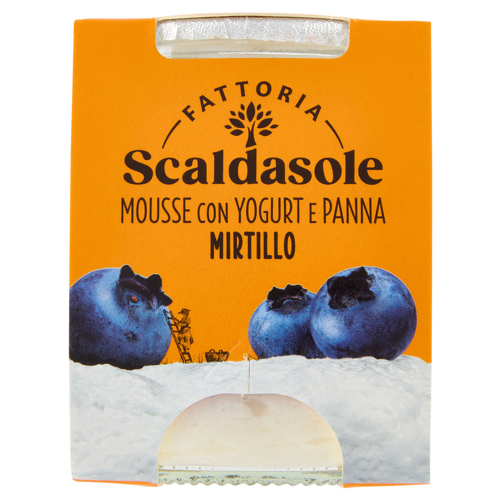 MOUSSE BIO YOGURT E MIRTILLO SCALDASOLE G 75 - 0