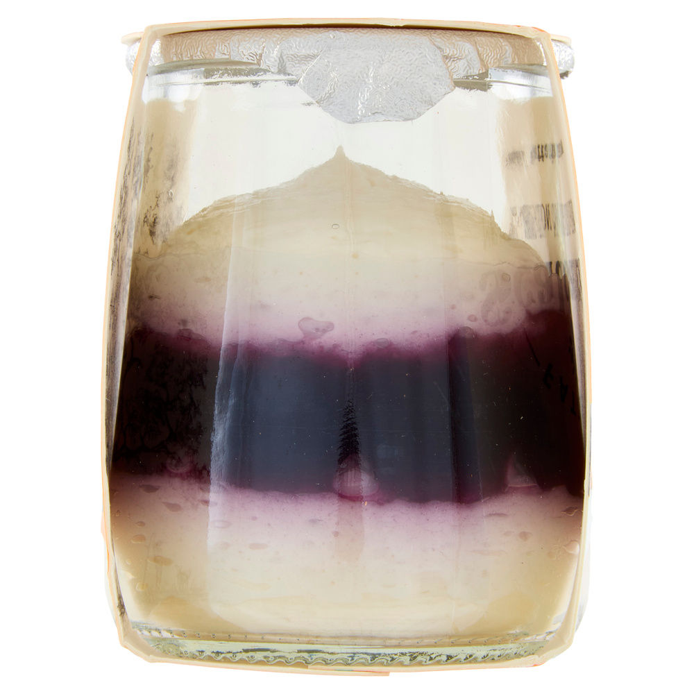 MOUSSE BIO YOGURT E MIRTILLO SCALDASOLE G 75 - 3