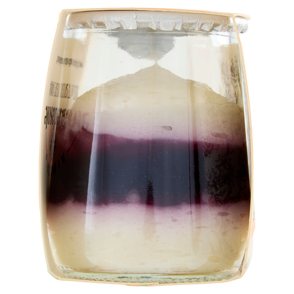 MOUSSE BIO YOGURT E MIRTILLO SCALDASOLE G 75 - 2