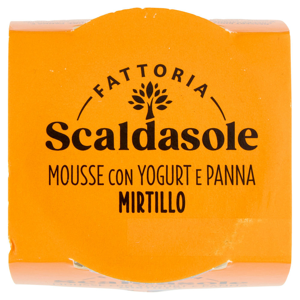 MOUSSE BIO YOGURT E MIRTILLO SCALDASOLE G 75 - 7