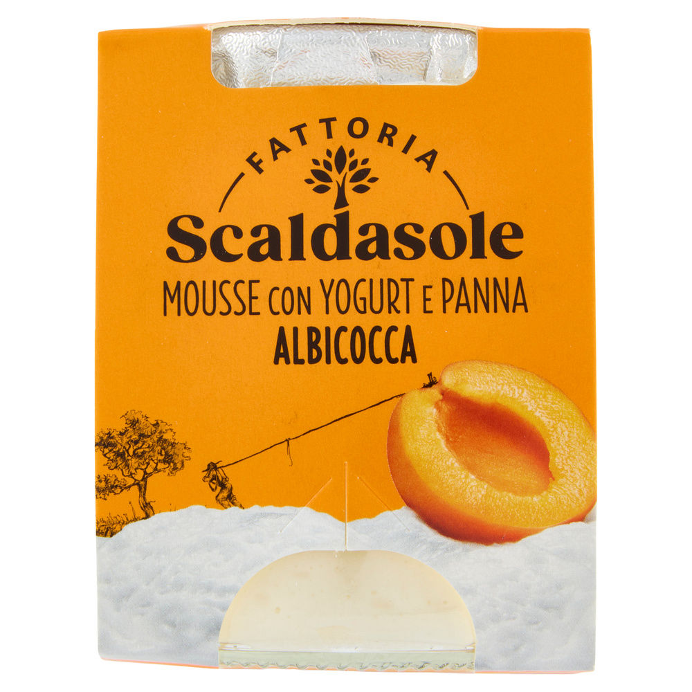 MOUSSE BIO YOGURT E ALBICOCCA SCALDASOLE G 75 - 7