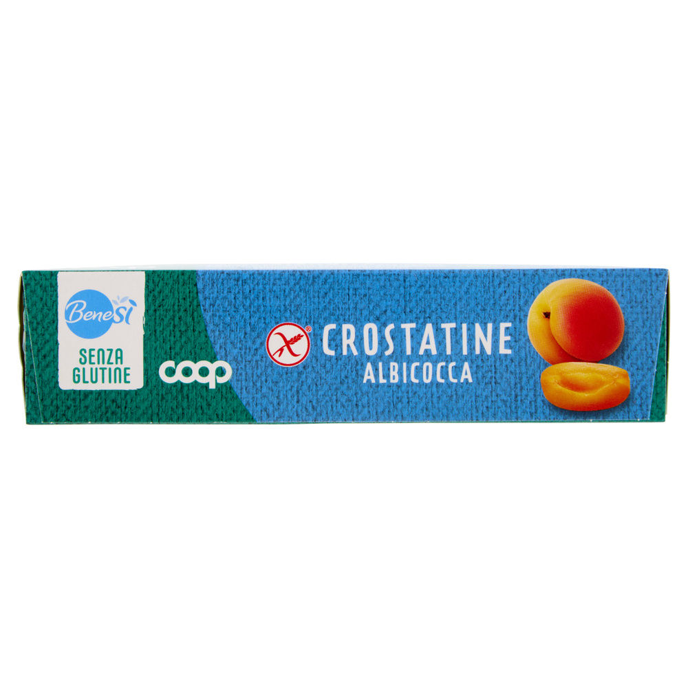 CROSTATINE CON ALBICOCCA SENZA GLUTINE BENE SI' COOP  G132 (G4 X 33) - 7