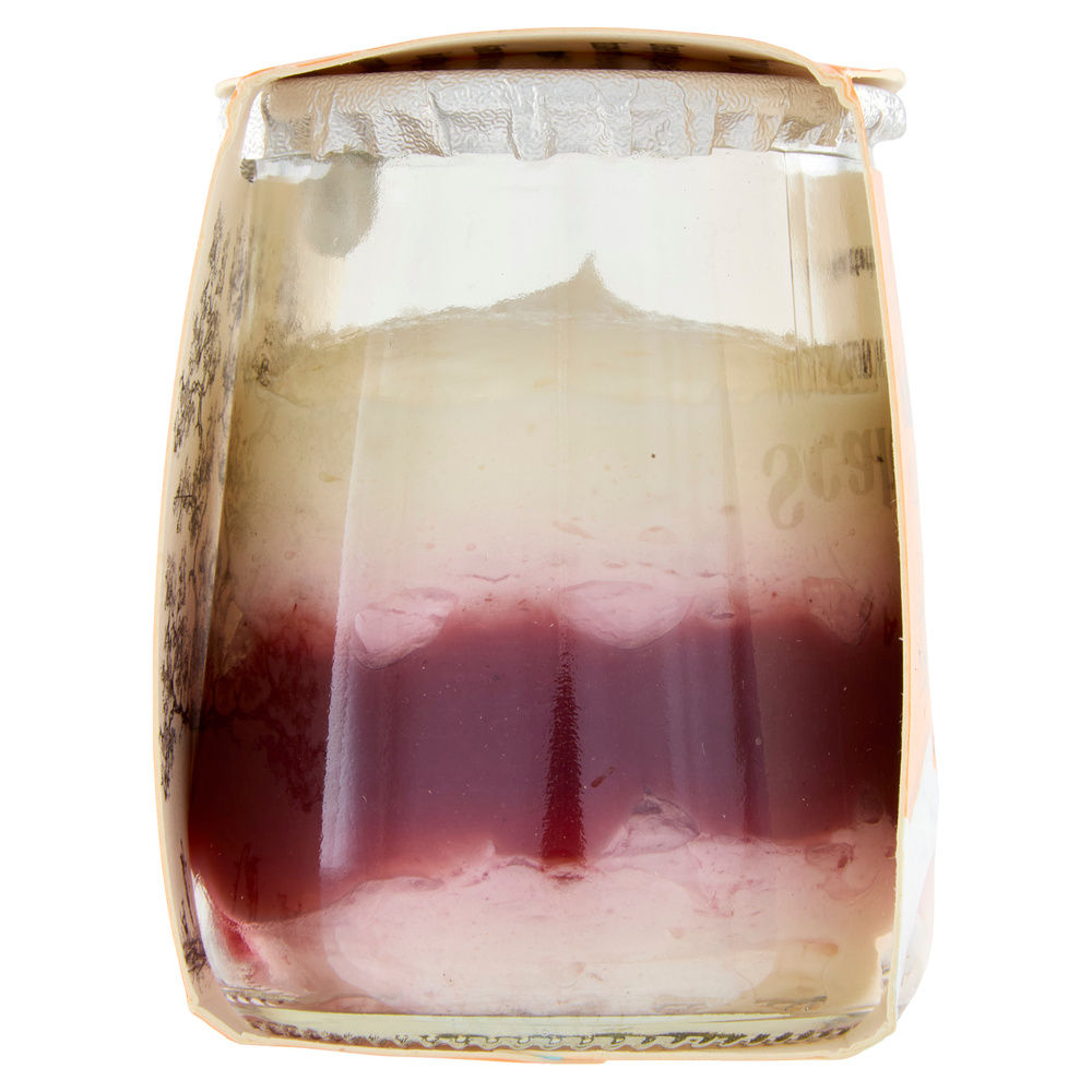 MOUSSE BIO YOGURT E LAMPONE SCALDASOLE G 75 - 4
