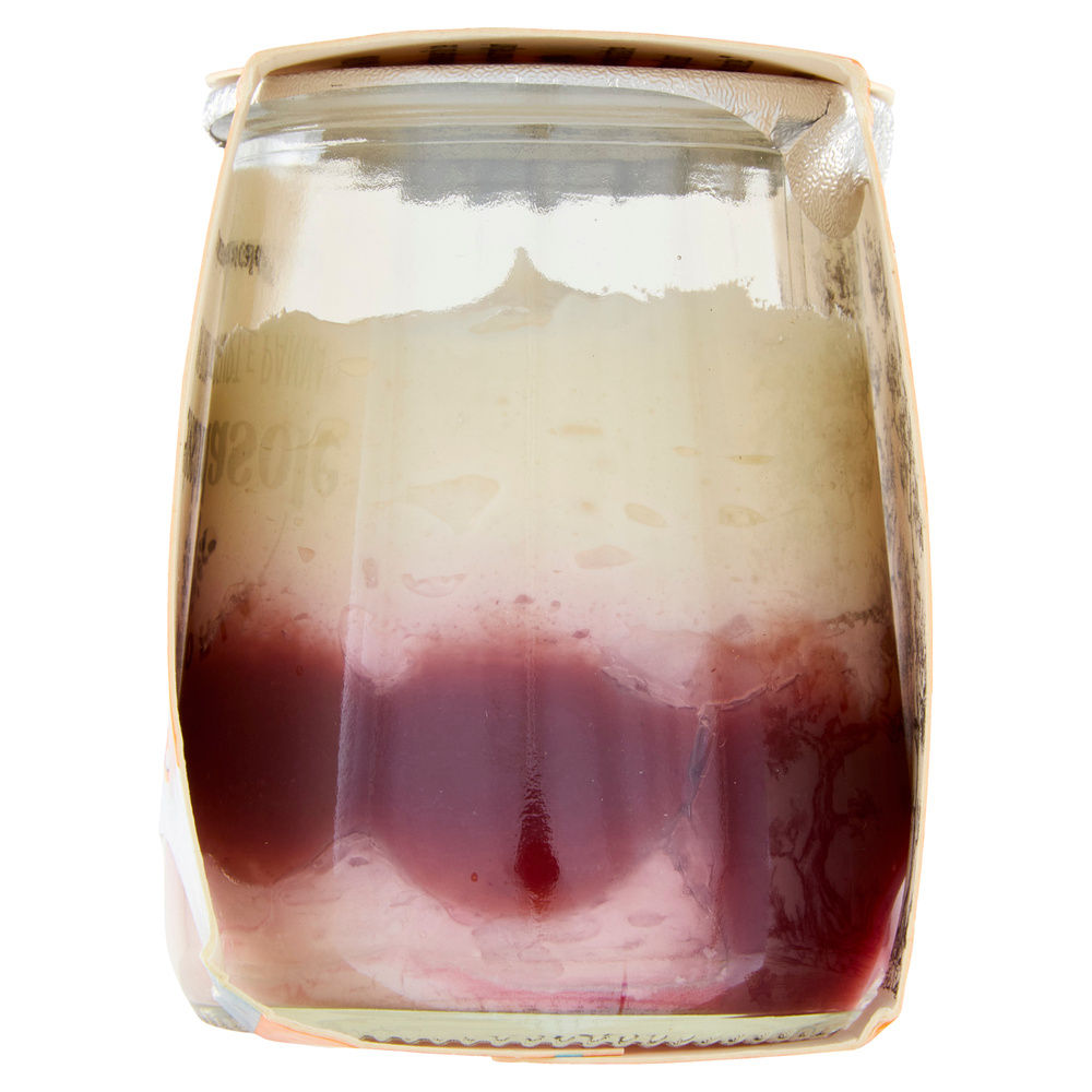 MOUSSE BIO YOGURT E LAMPONE SCALDASOLE G 75 - 3