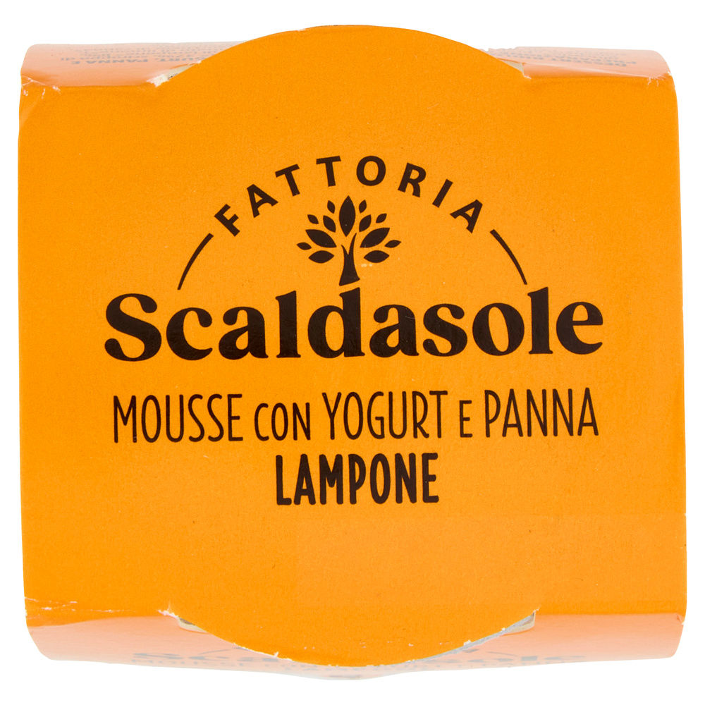 MOUSSE BIO YOGURT E LAMPONE SCALDASOLE G 75 - 2