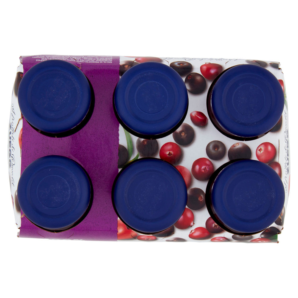 SUCCHI CRANBERRY E ACAI ZUEGG CLUSTER ML 125 X 6 - 2