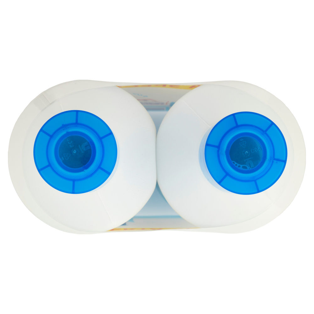 DETERSIVO PAVIMENTI LYSOFORM CLASSICO 2X L 1,1 - 2
