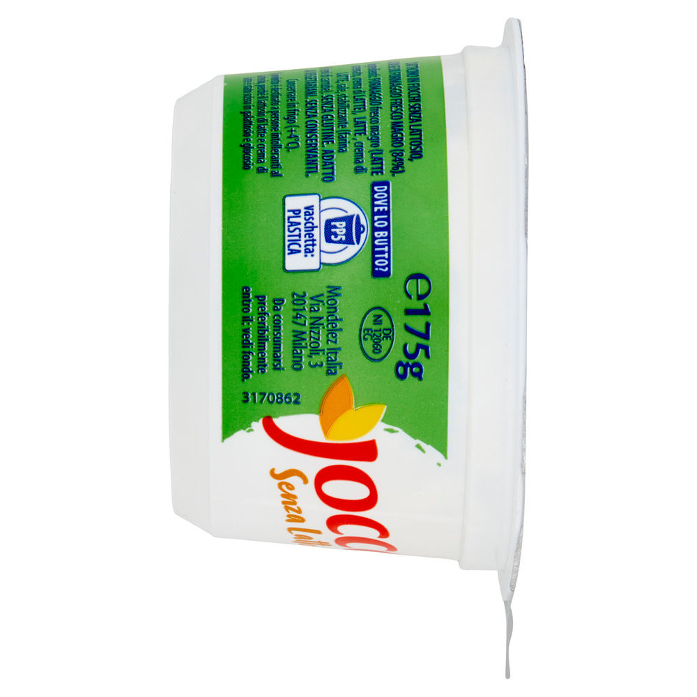 JOCCA FIOCCHI DI LATTE SENZA LATTOSIO G 175 - 3