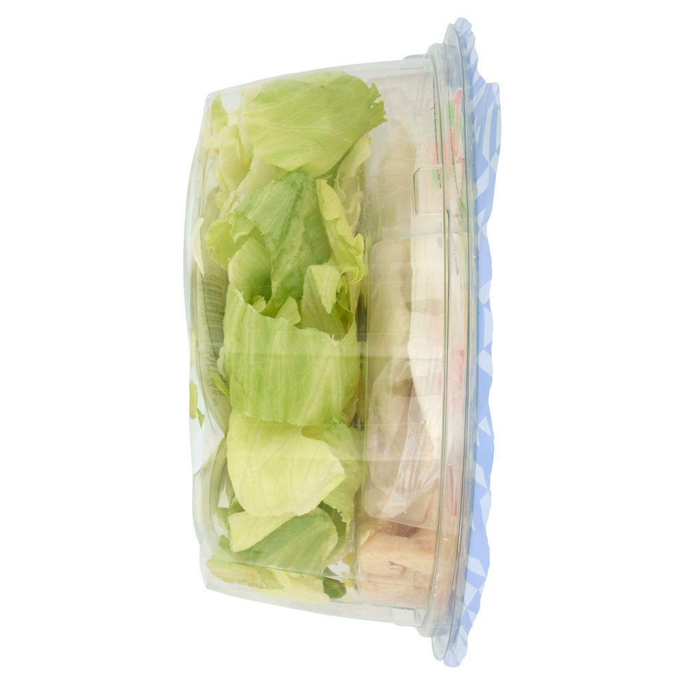 PIATTO UNICO GOLOSO CAESAR G.PADANO, POLLO, CROSTINI DIMMIDISI' CIOT G 180 - 5