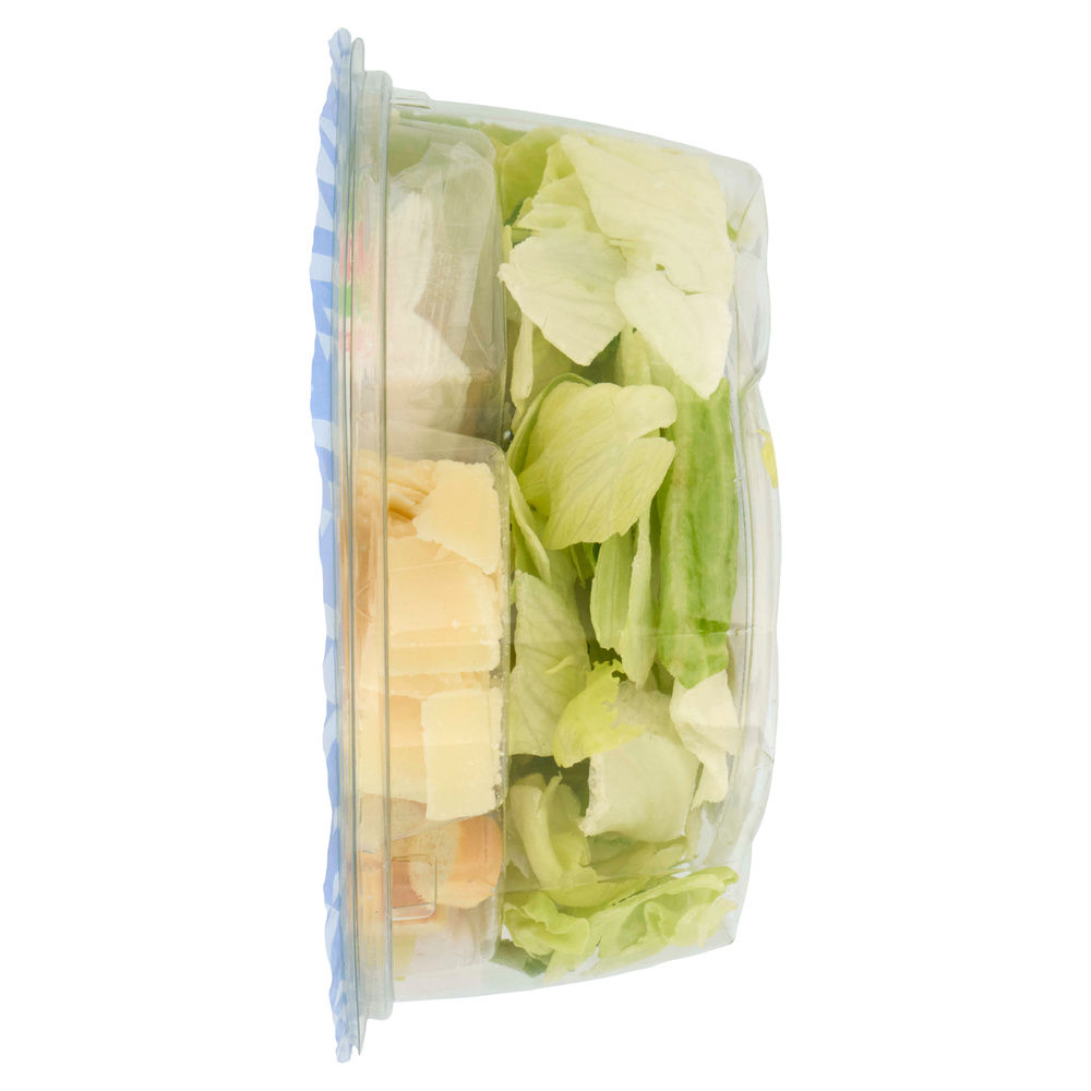 PIATTO UNICO GOLOSO CAESAR G.PADANO, POLLO, CROSTINI DIMMIDISI' CIOT G 180 - 3