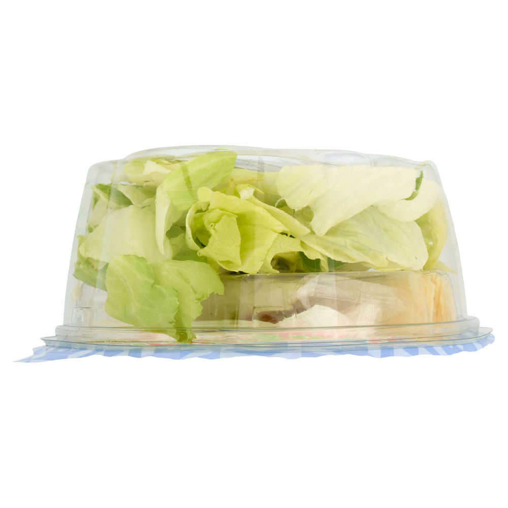 PIATTO UNICO GOLOSO CAESAR G.PADANO, POLLO, CROSTINI DIMMIDISI' CIOT G 180 - 2