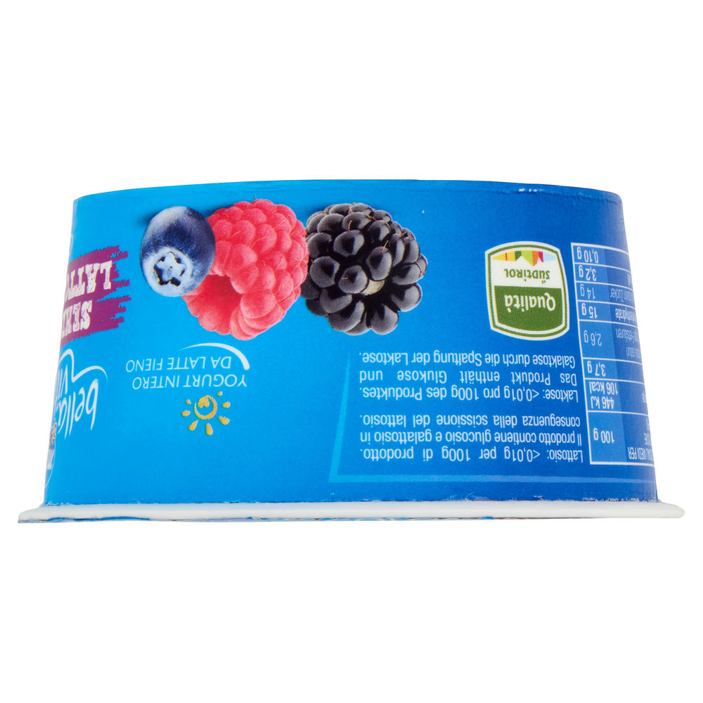 YOGURT BELLA VITA FREE S/L GOLOSO MERANO  FRUTTI DI BOSCO G 150 - 6