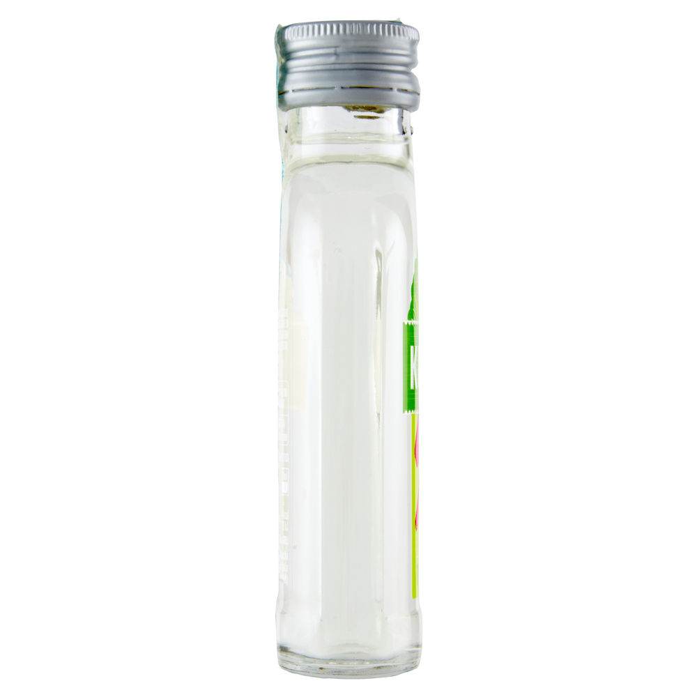 VODKA KEGLEVICH SHOTTINI LIME E MENTA 15 GRADI BOTTILIA ML 100 - 2