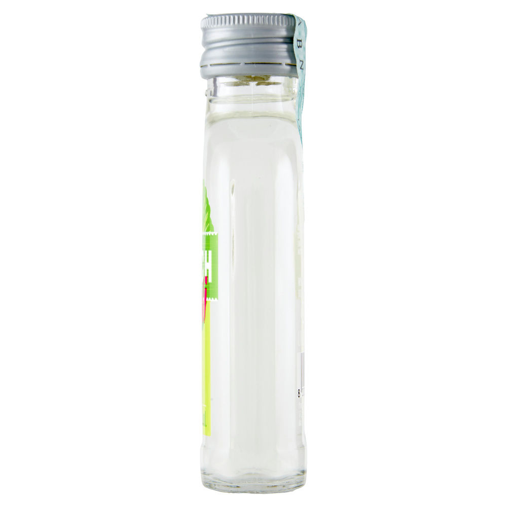 VODKA KEGLEVICH SHOTTINI LIME E MENTA 15 GRADI BOTTILIA ML 100 - 4