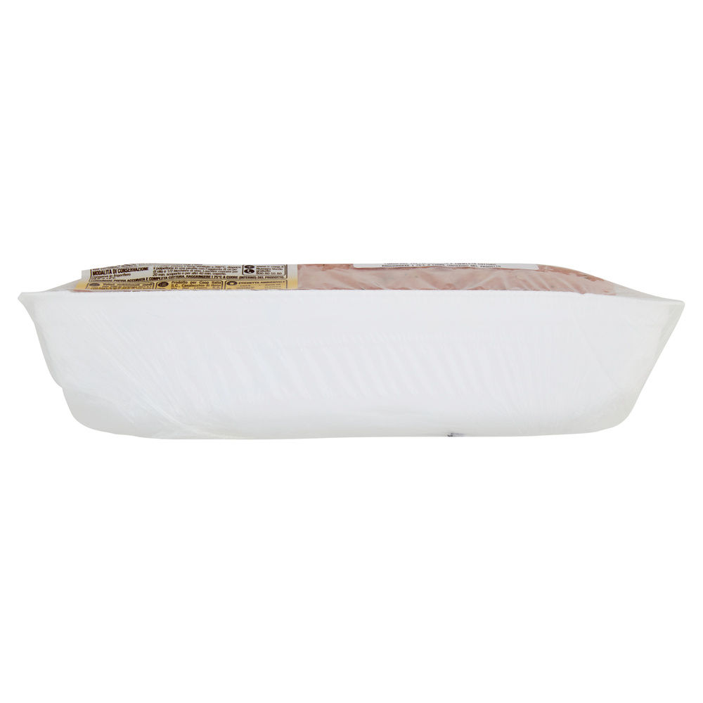 POLPETTONE POLLO TACCHINO SUINO SENZA USO DI ANTIBIOTICI CF G 700  ORIGINE - 2