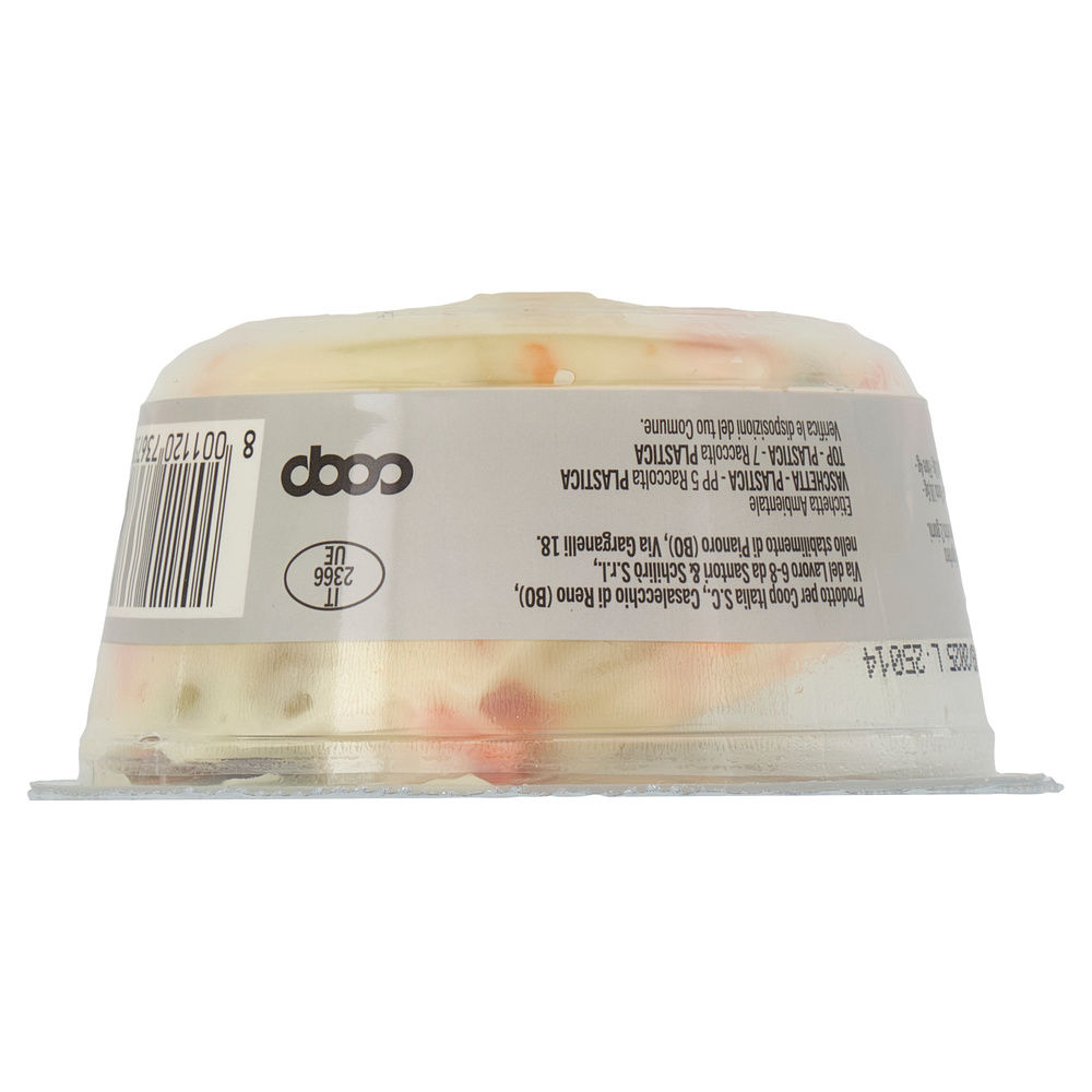 INSALATA RUSSA IN MAYO VEGANA COOP G 150 - 6