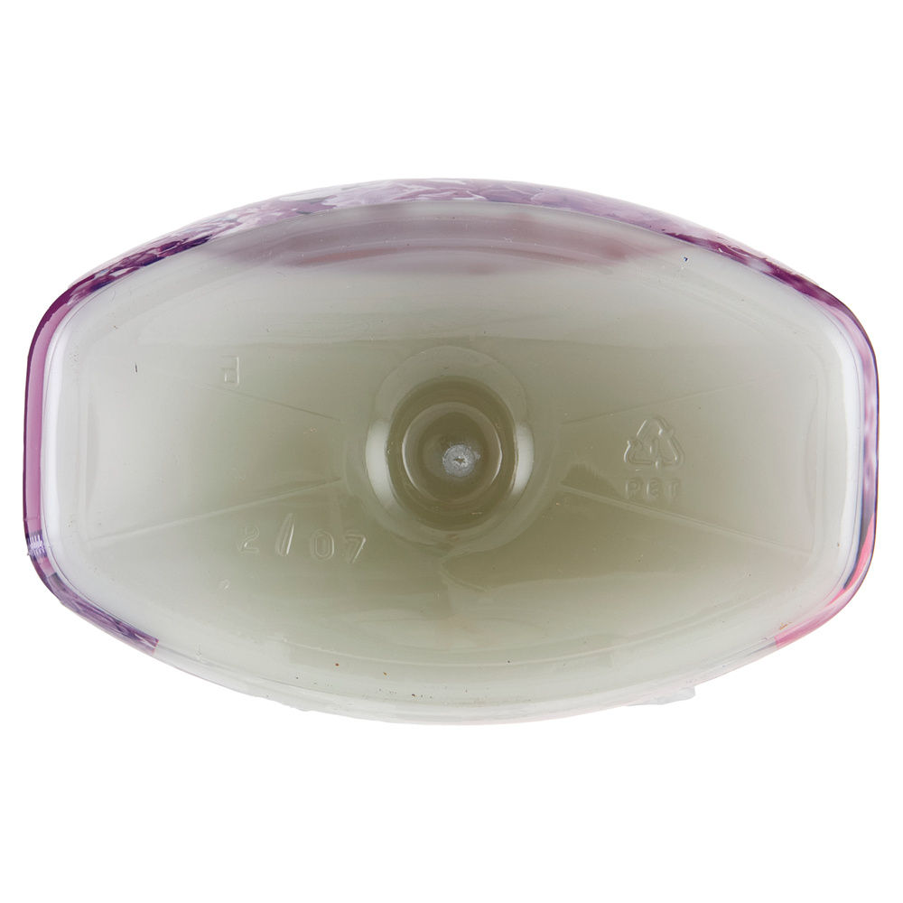 AMMORBIDENTE CONCENTRATO LENOR AMETISTA & BOUQUET 55LAV L 1,155 - 1