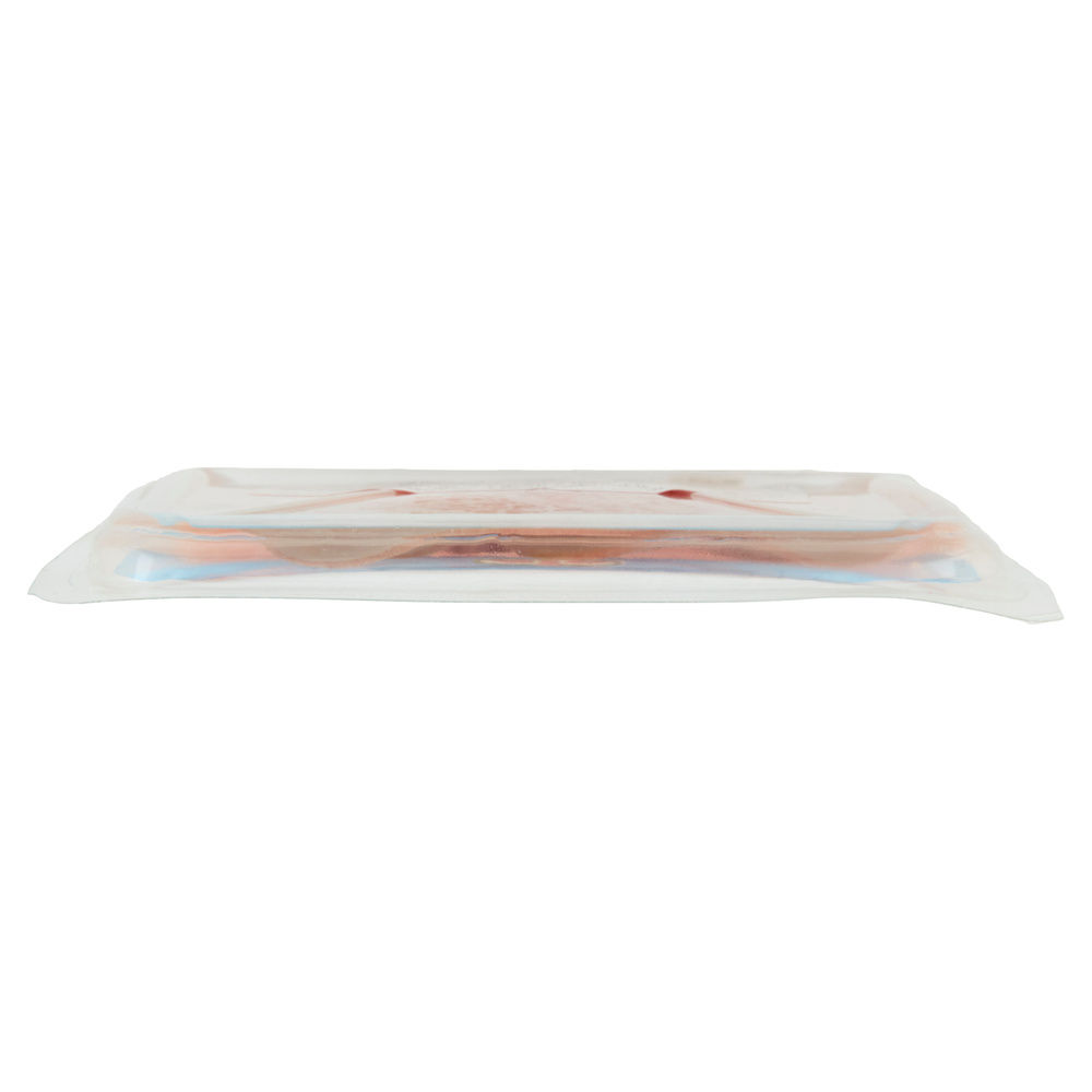 BRESAOLA DI TACCHINO PROTEIN AEQUILIBRIUM G 80 - 5
