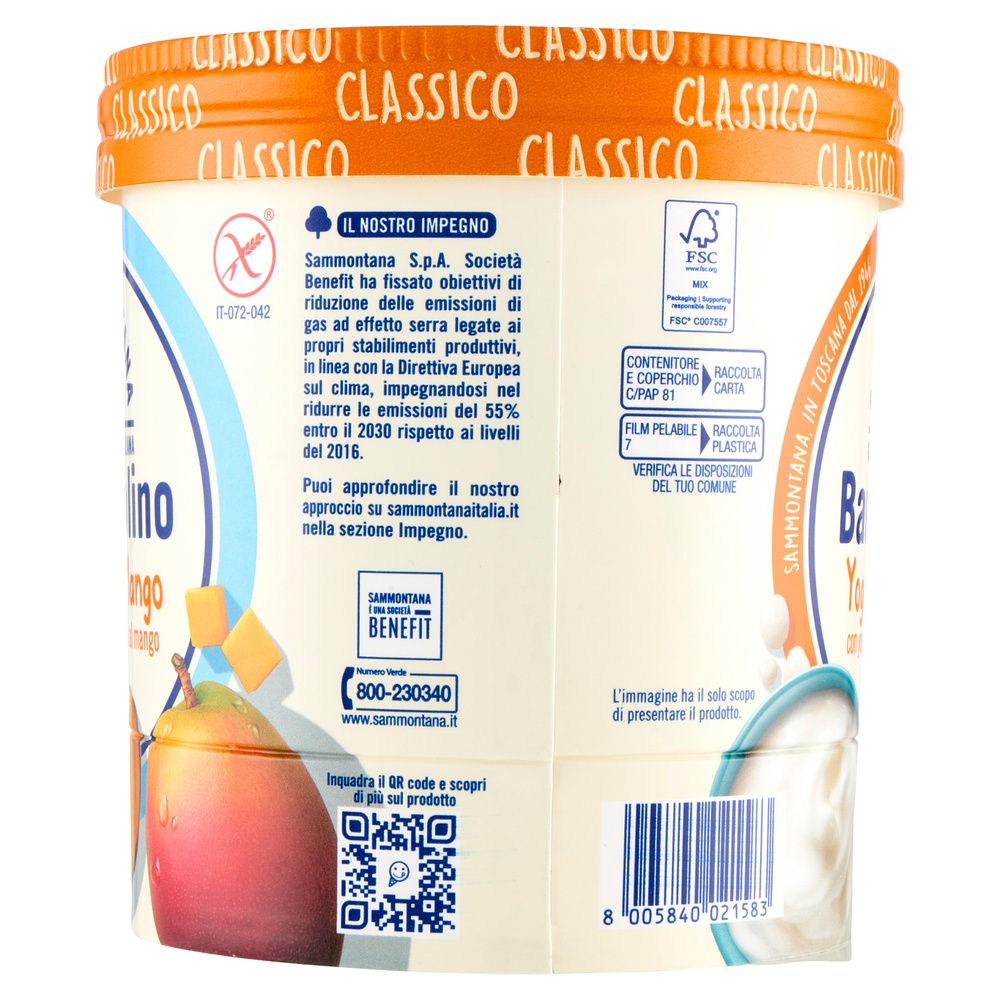 BARATTOLINO CLASSICO YOGURT E MANGO SAMMONTANA G 500 - 6