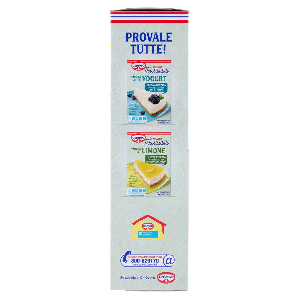 PREPARATO PER TORTA CHEESECAKE LE IRRESISTIBILI CAMEO CARTONE G 217 - 3