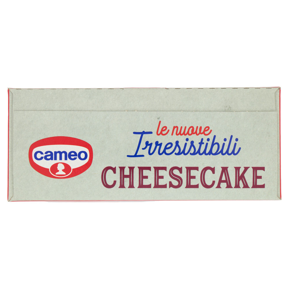 PREPARATO PER TORTA CHEESECAKE LE IRRESISTIBILI CAMEO CARTONE G 217 - 6