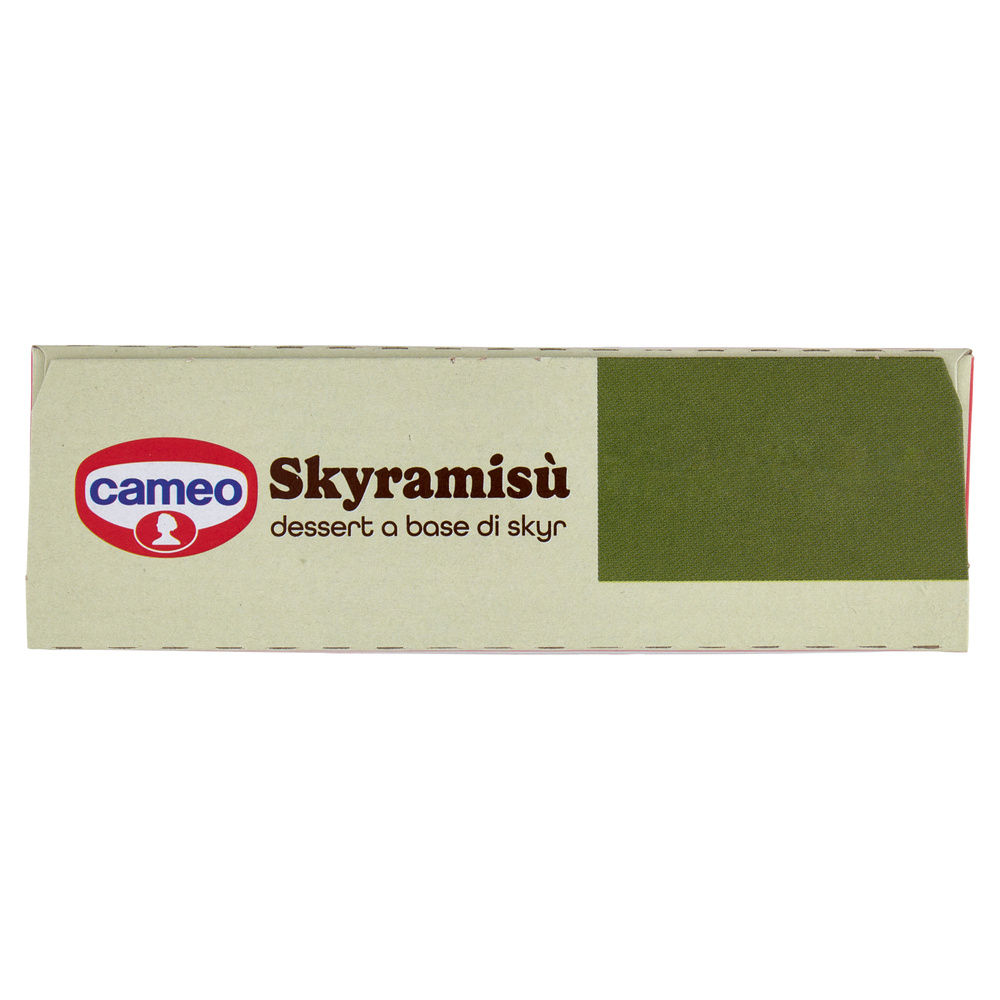 PREPARATO PER DESSERT SKYRAMISÙ CAMEO CARTONE G 77 - 2