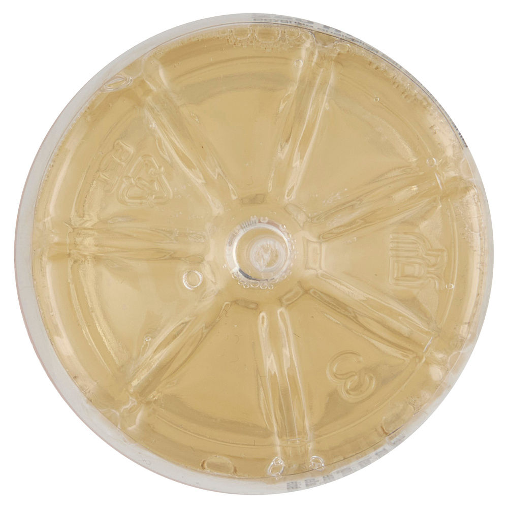 VITASNELLA SPECIFIQUE BRUCIA GRASSI ZERO ANANAS PET ML 250 - 6
