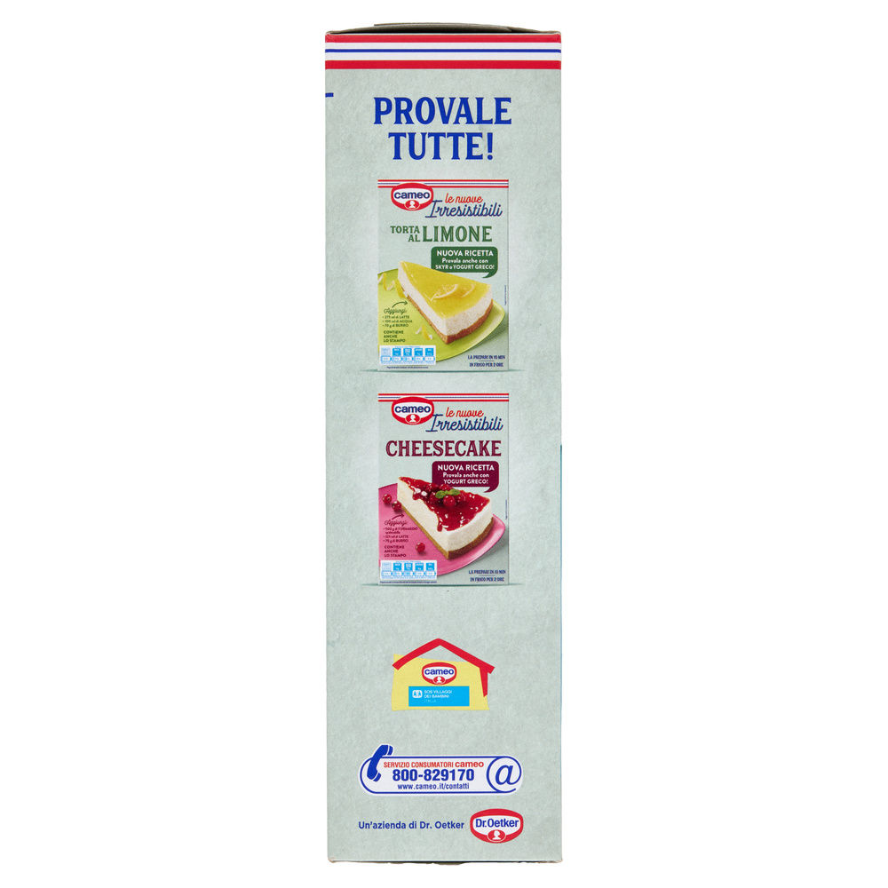 PREPARATO PER TORTA ALLO YOGURT LE IRRESISTIBILI CAMEO CARTONE G 235 - 3