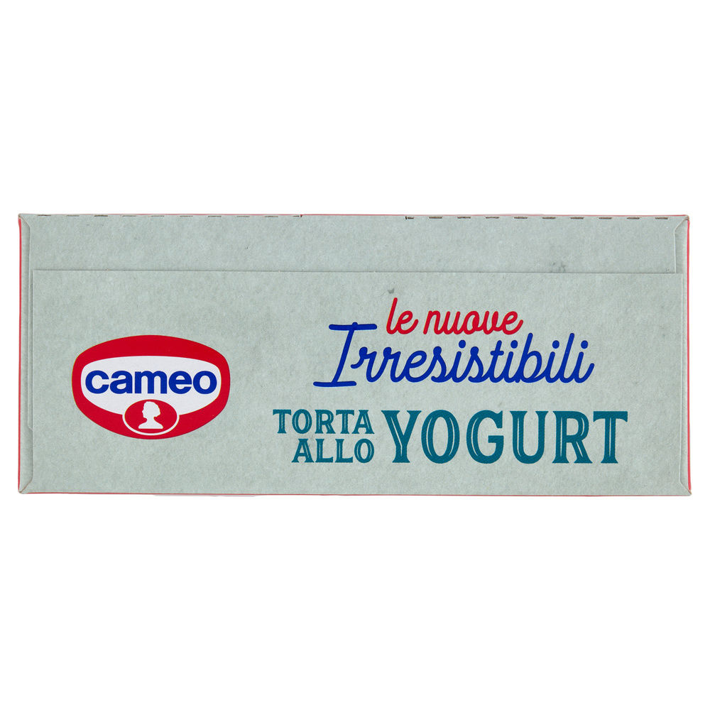 PREPARATO PER TORTA ALLO YOGURT LE IRRESISTIBILI CAMEO CARTONE G 235 - 6