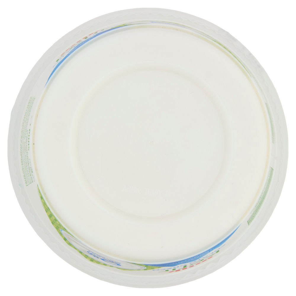 KEFIR COLATO GRECO BIANCO MILK G 500 - 4